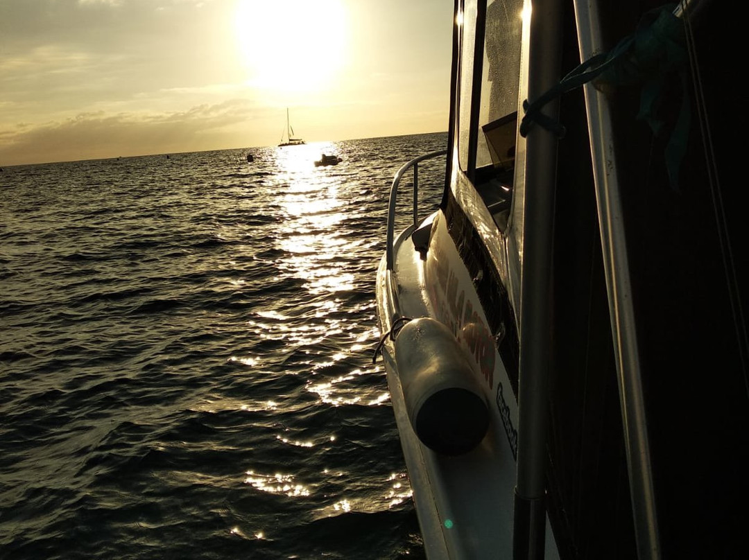 Tenerife Boats-奥德杰海岸必去景点