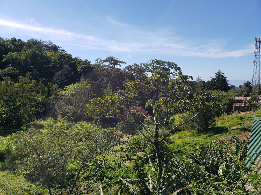 La Guayaba Monteverde主图