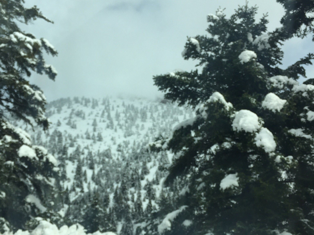 Avissinia Guest House主图