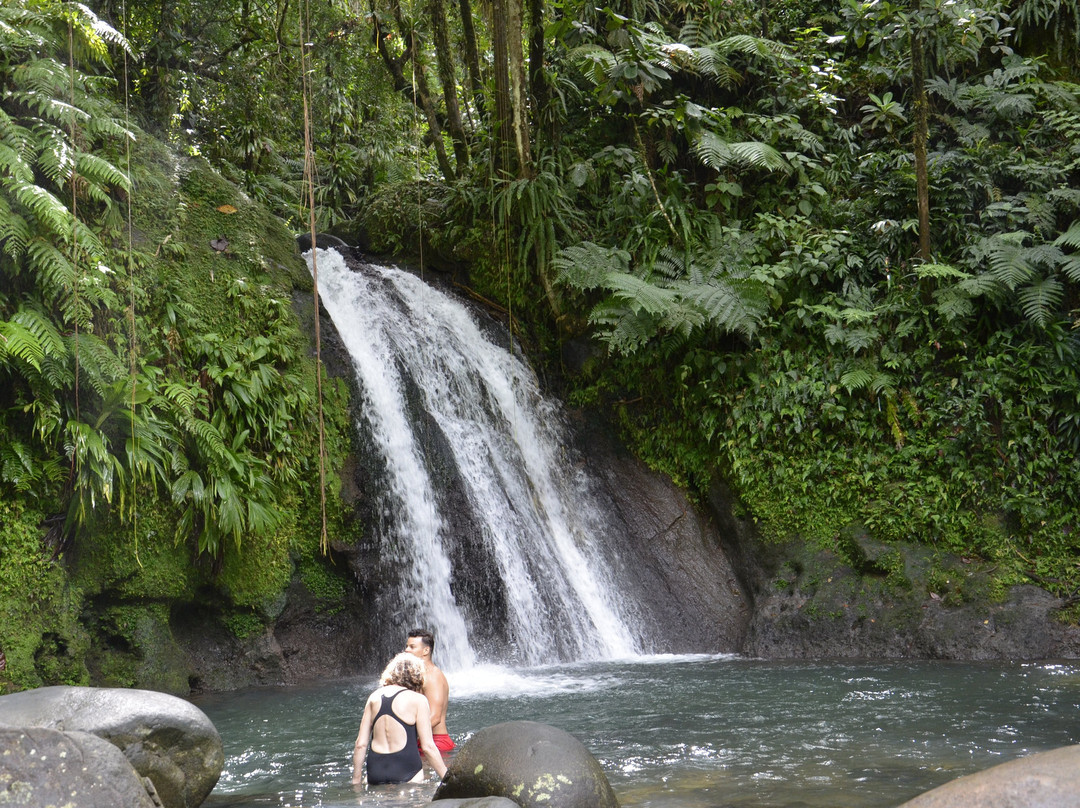 Guadeloupe National Park景点图片