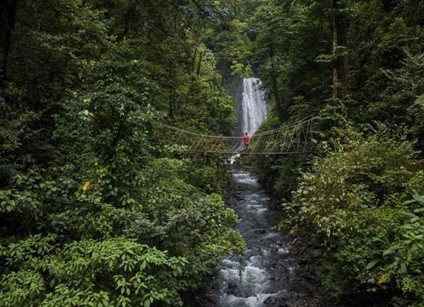 Monteverde Tours CR景点图片