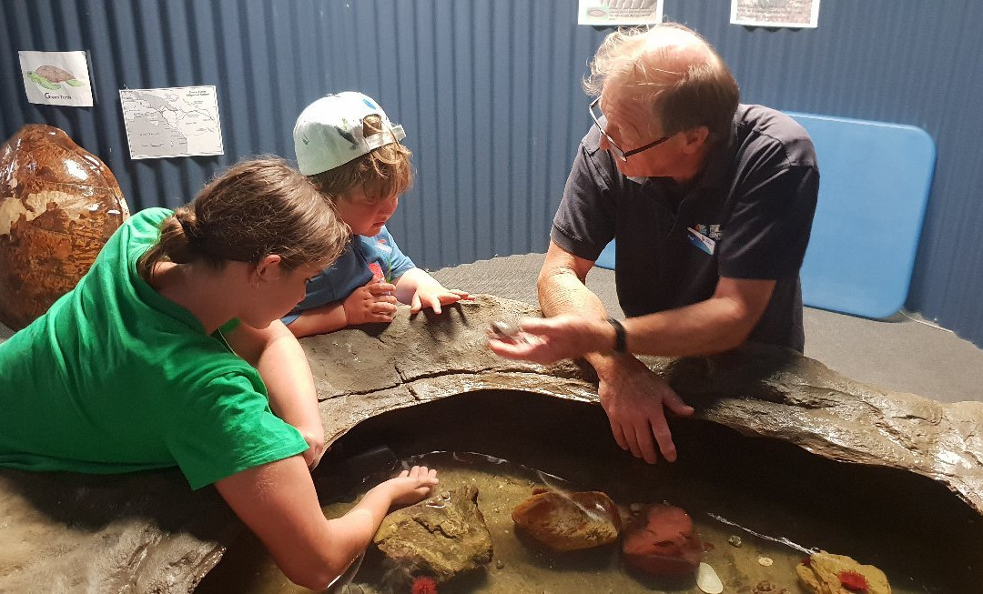 Sapphire Coast Marine Discovery Centre-伊登港必去景点