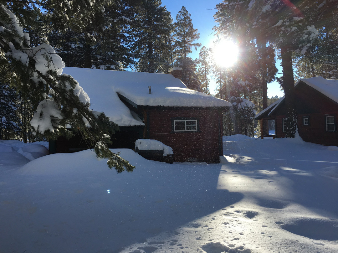 Hannagan Meadow Lodge主图