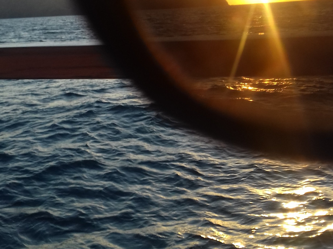 Catamaran Ocean Tours景点图片