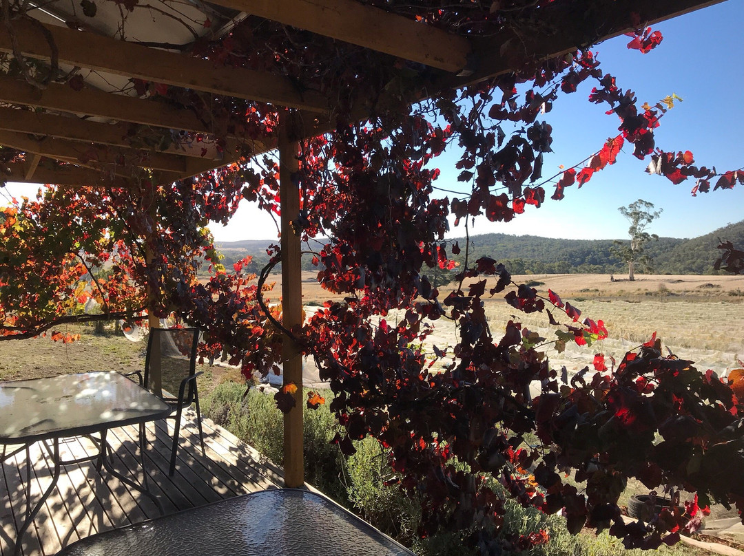 Zig Zag Road Wines-Drummond North必去景点