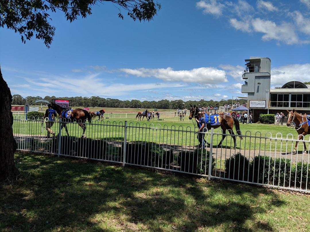 Moruya Jockey Club景点图片