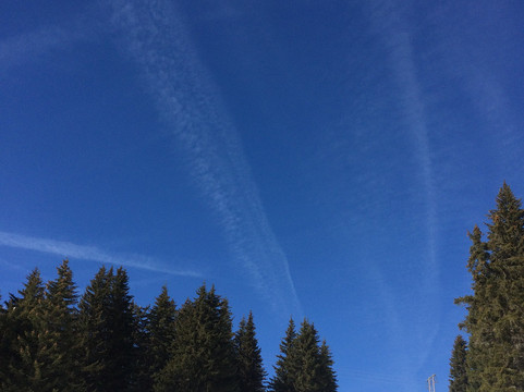 Avoriaz 1800 Ski Resort-Avoriaz必去景点