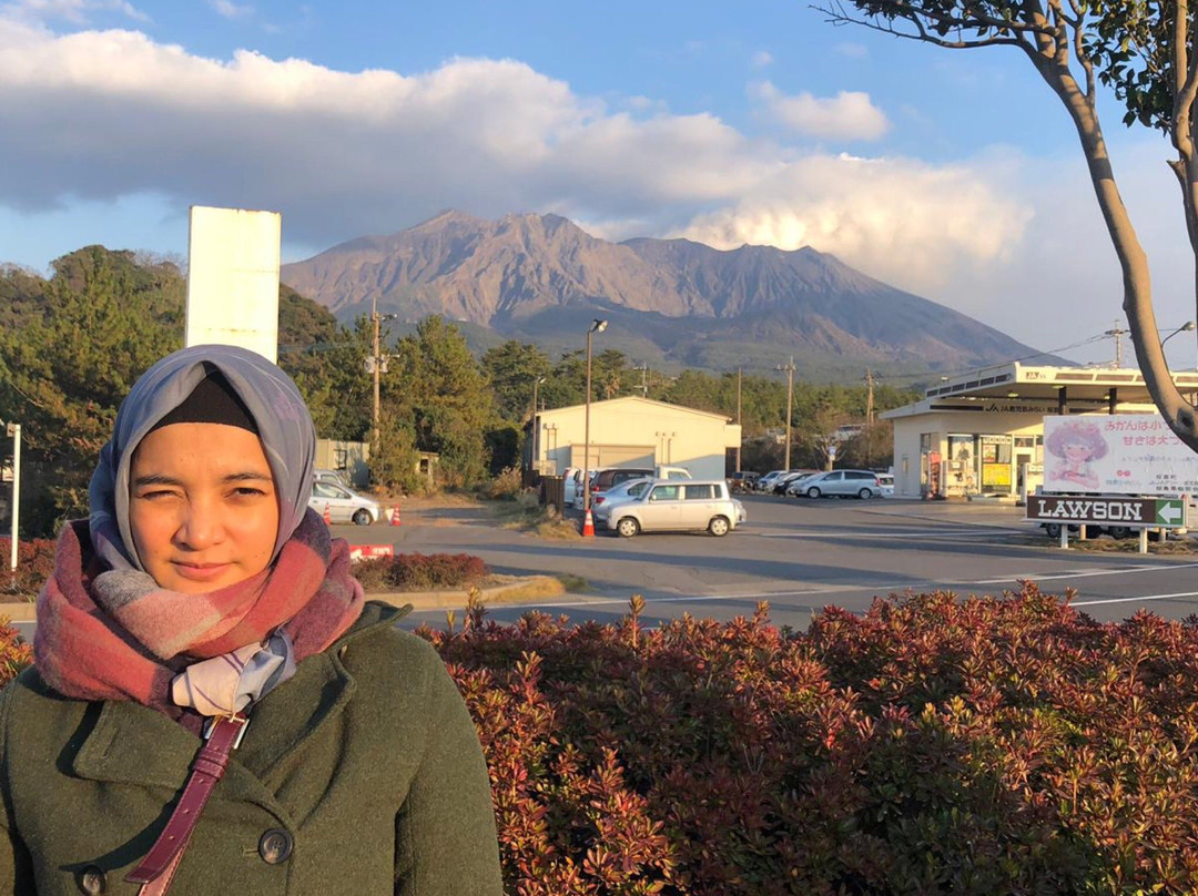 Sakurajima Island View景点图片