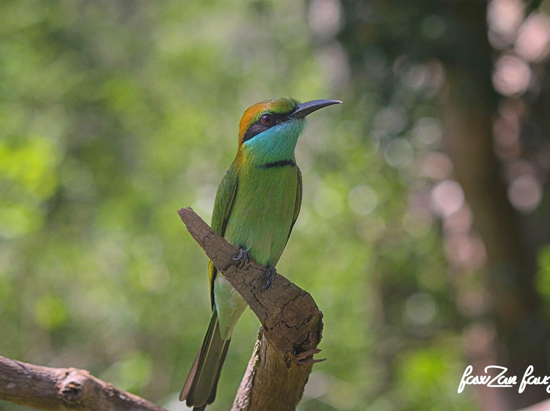 Elysian Lanka Travels-Ratnapura必去景点