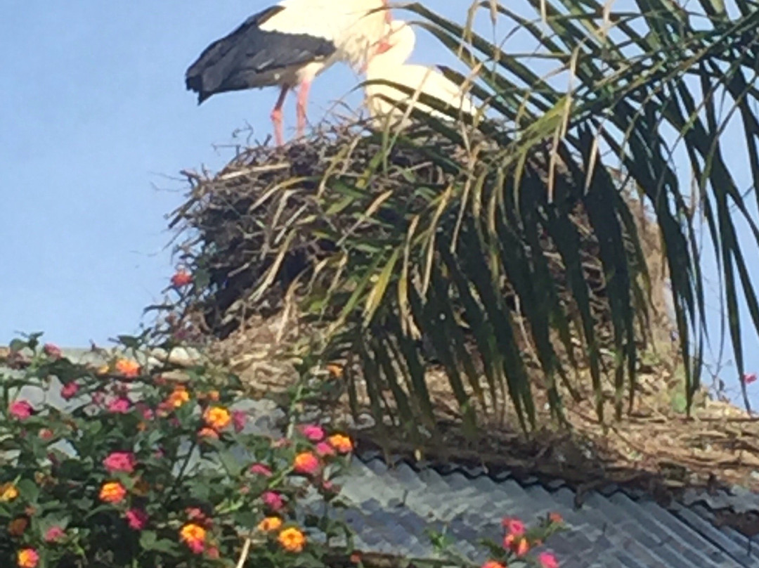 Maison D'Hotes Berbari主图