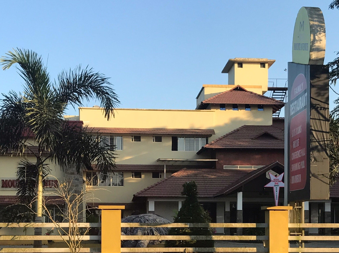 Hotel Mount Avenue主图