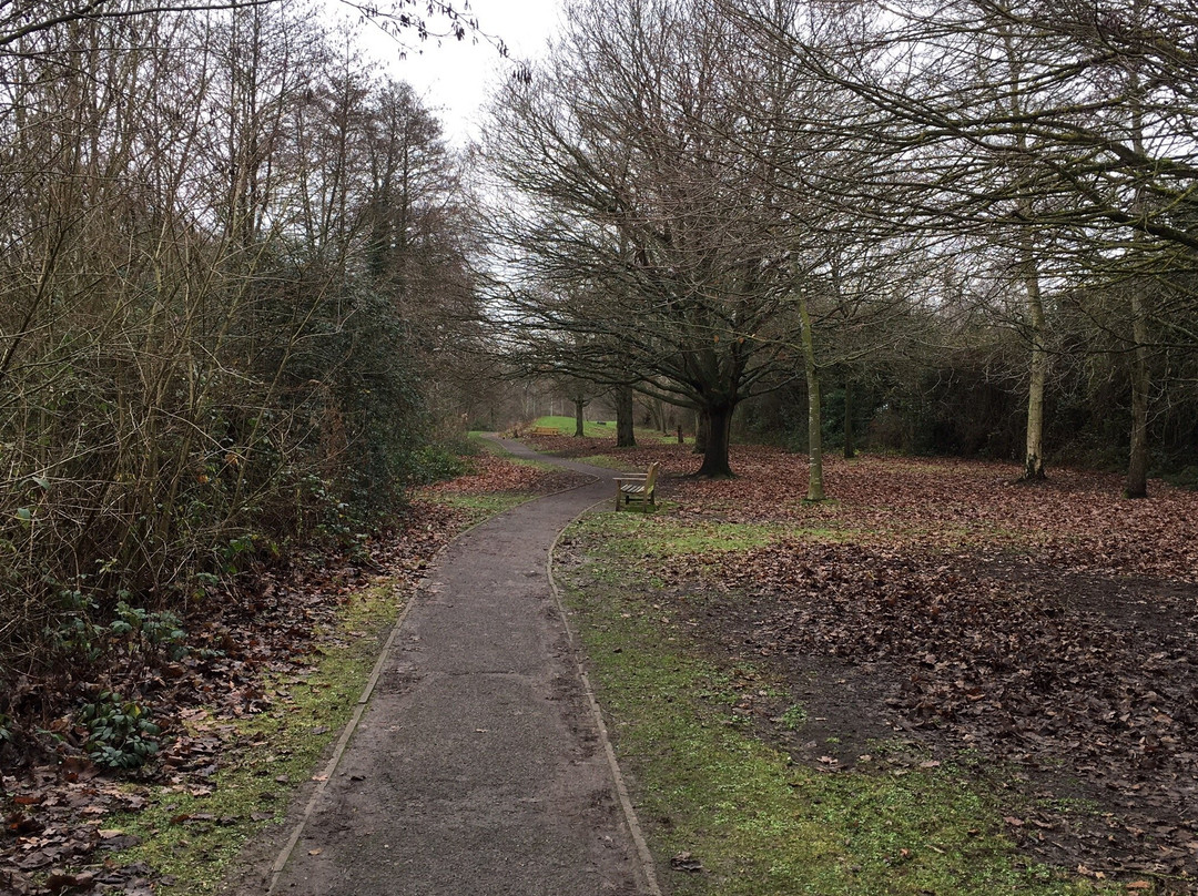 Tocil Wood and Nature Reserve景点图片