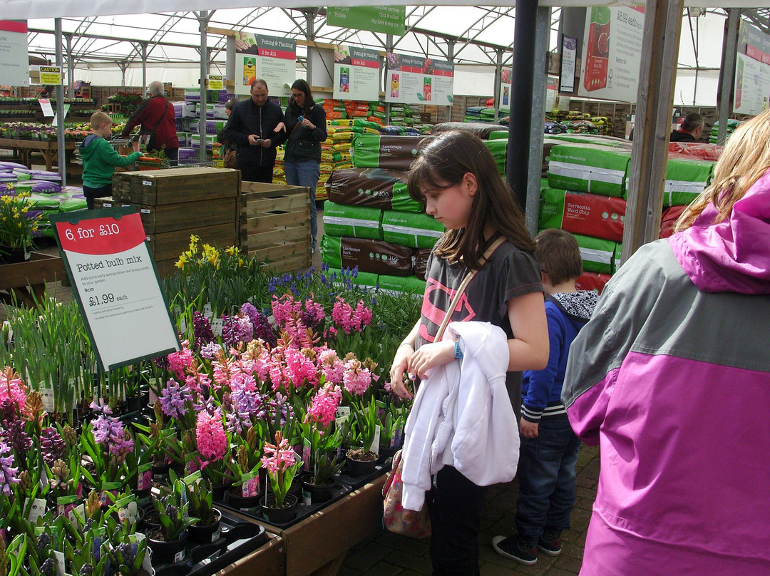 Wyevale Garden Centre, Heighley Gate-莫佩思必去景点