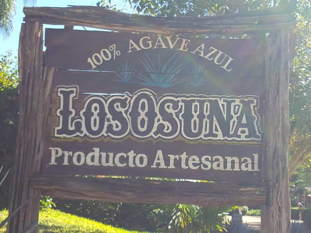 Los Osuna Blue Agave Tour景点图片
