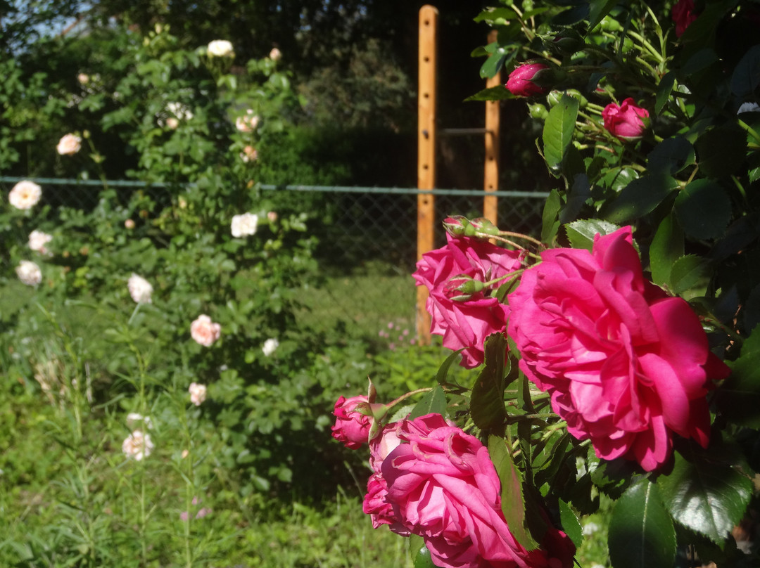 Der Bachäckerhof主图