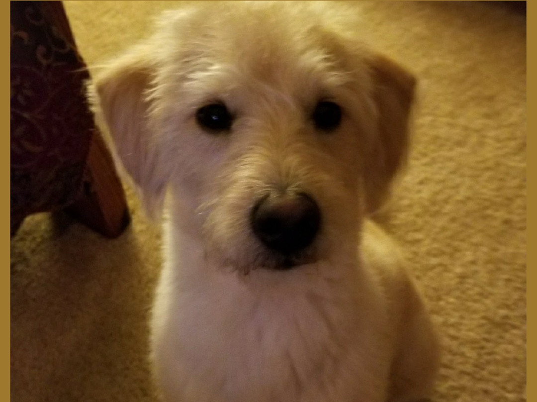 English Springs Park-奇诺岗必去景点