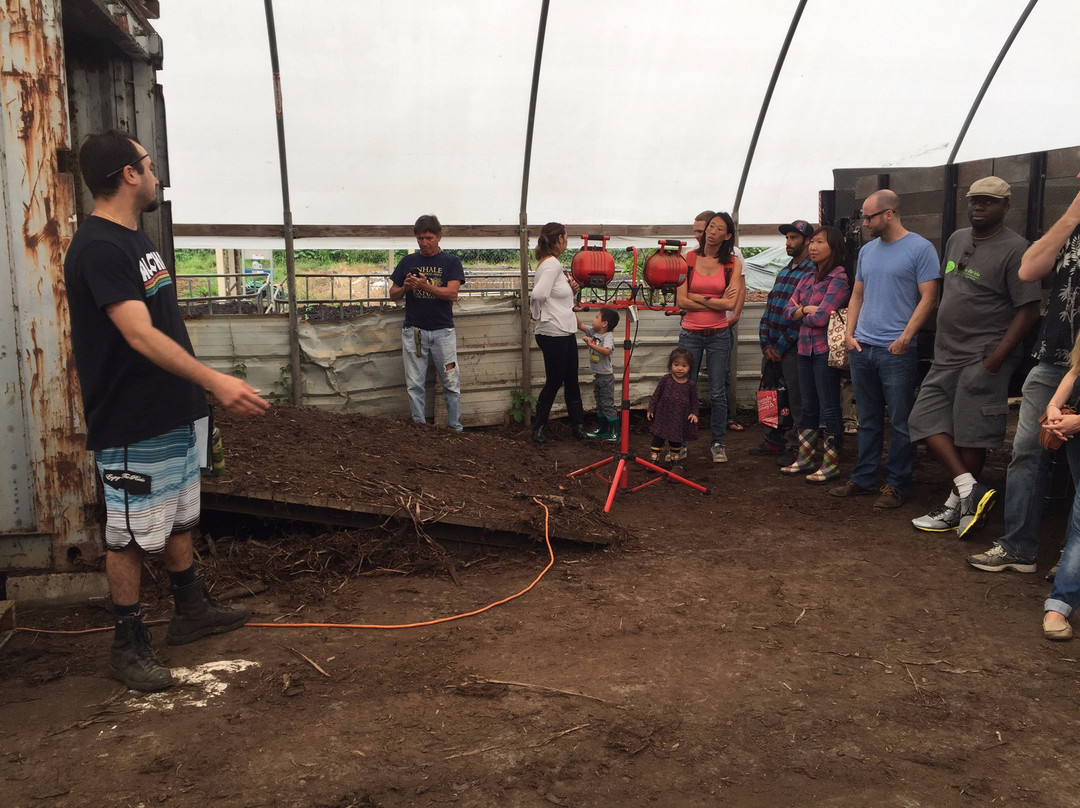 Small Kine Farm-威玛纳诺必去景点