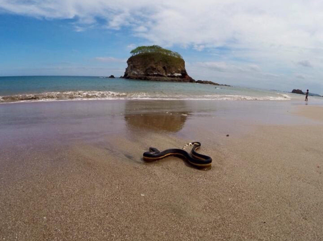 Bahia De Los Piratas主图