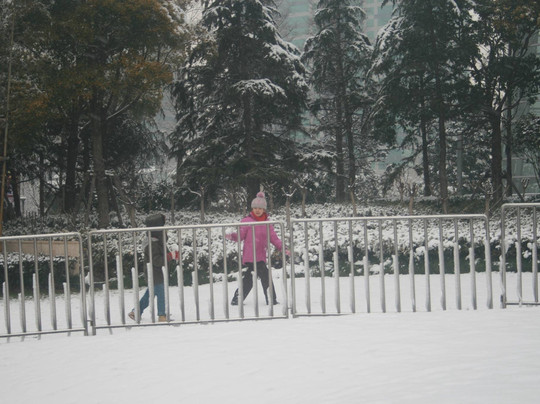 世纪广场-上海市必去景点