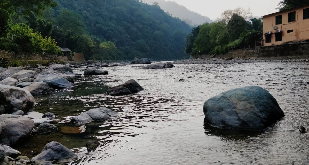 Aranyam River Retreat主图