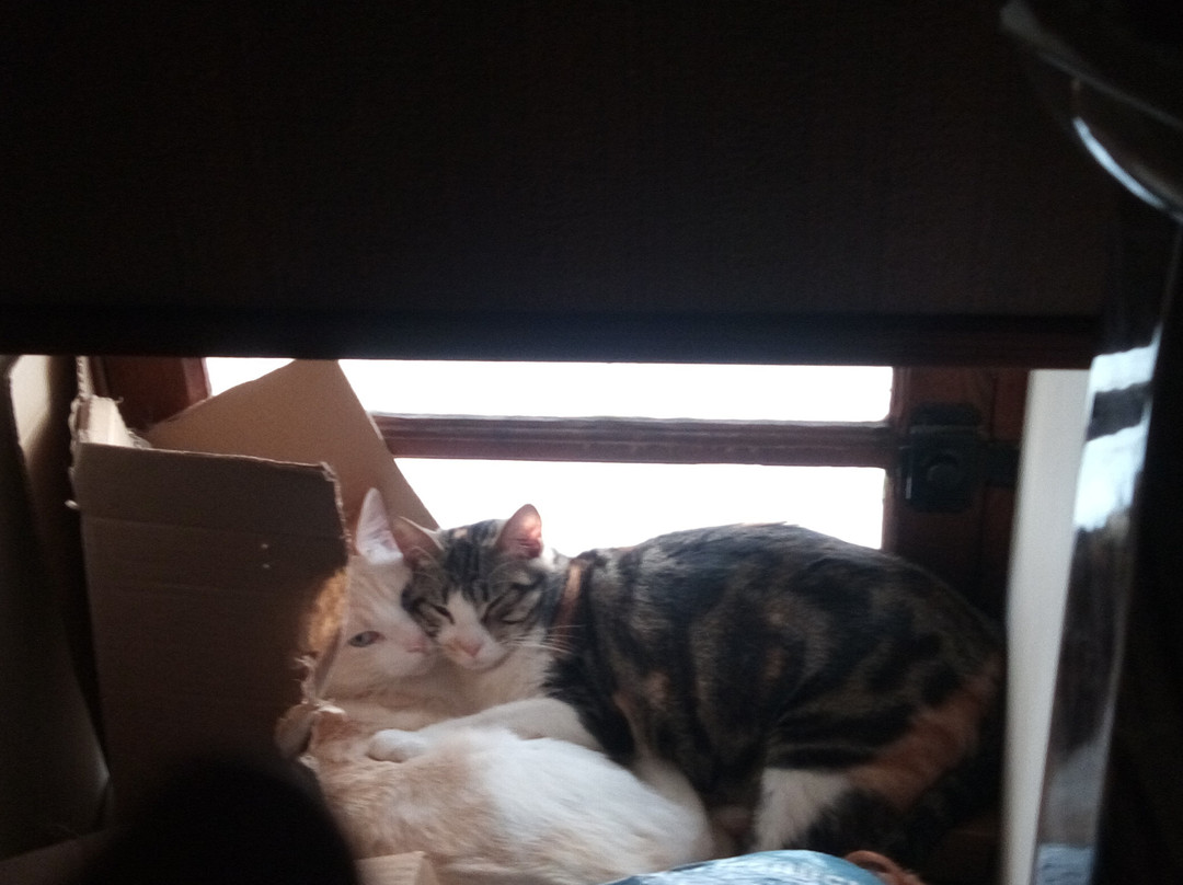 Cafe de la Presqu'ile