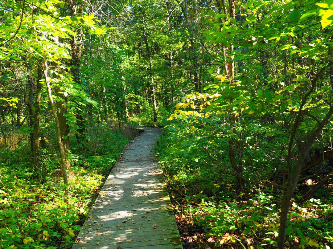 Lawrence Woods State Nature Preserve-Kenton必去景点