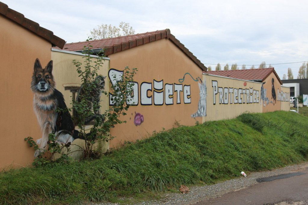 Fresque  Societe Protectrice Des Animaux-Chatenoy-le-Royal必去景点