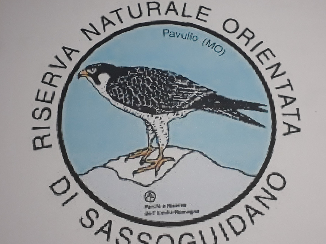 Riserva Naturale Orientata di Sassoguidano 景点图片