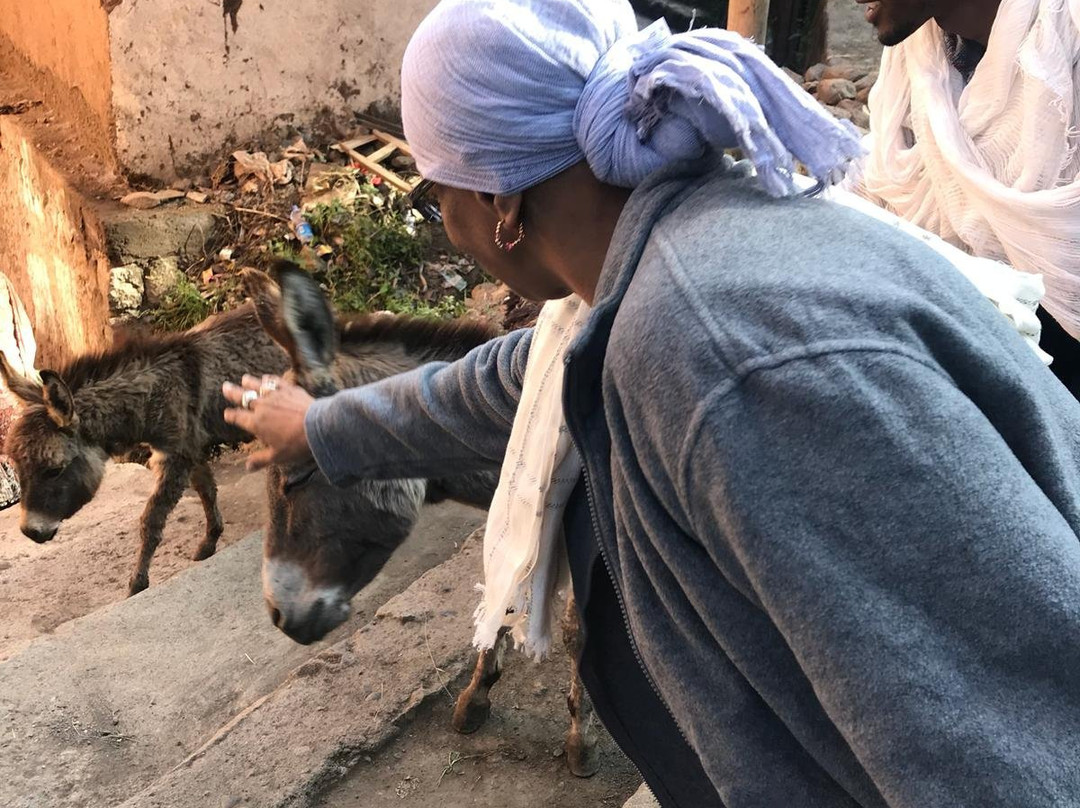 Bluenile Guest House主图