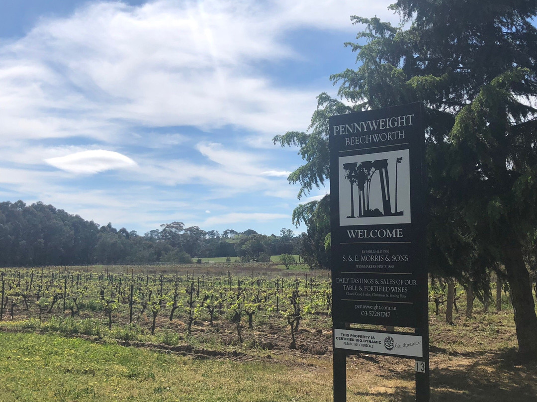 Pennyweight Winery-比奇沃思必去景点