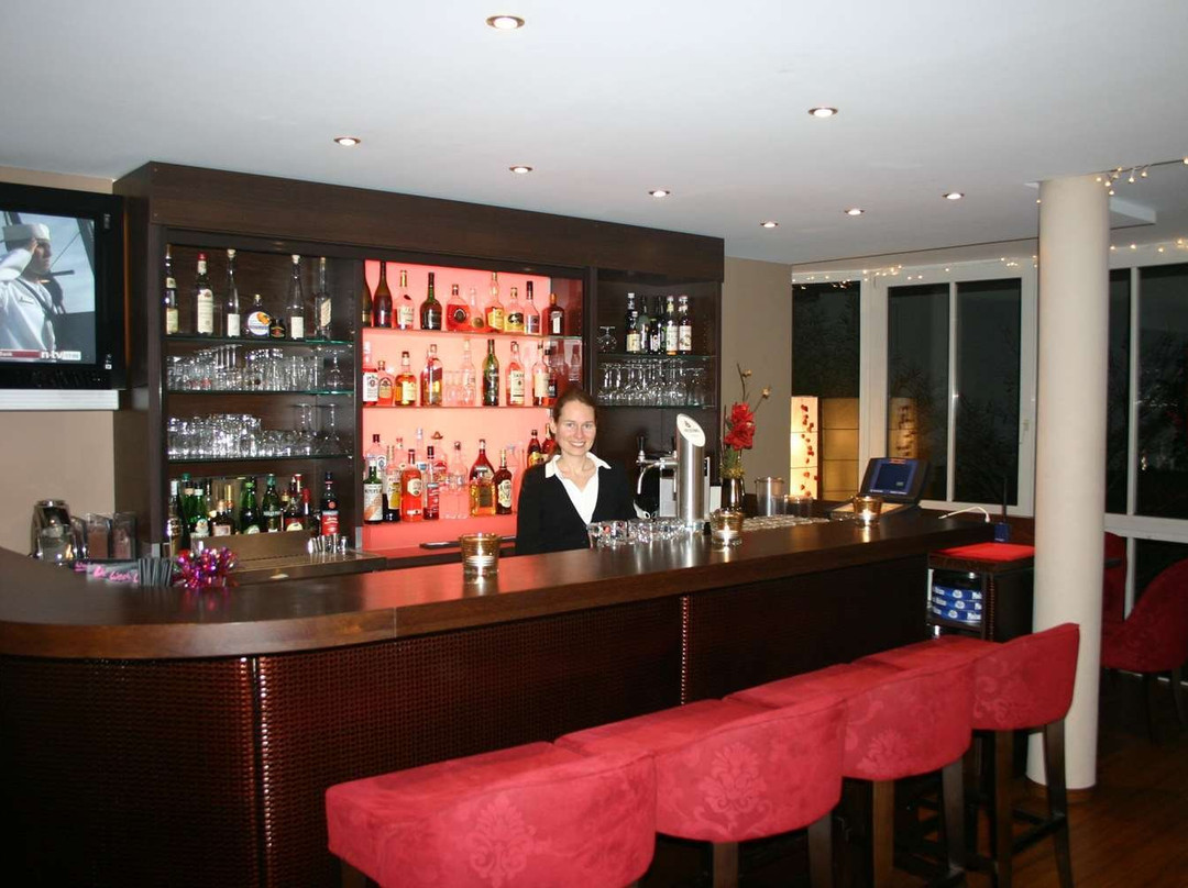 杜密兹尔奥斯特里斯酒店主图