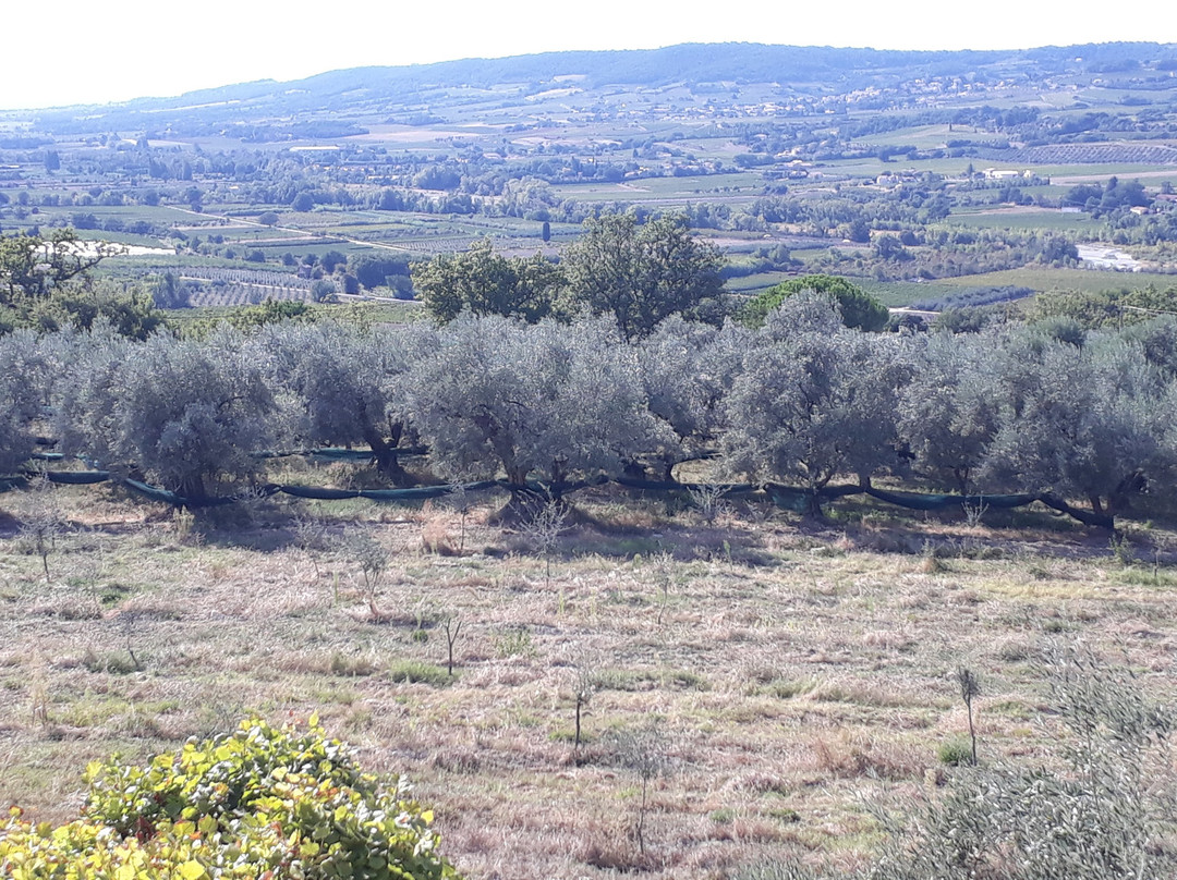 Le Saint Victor主图