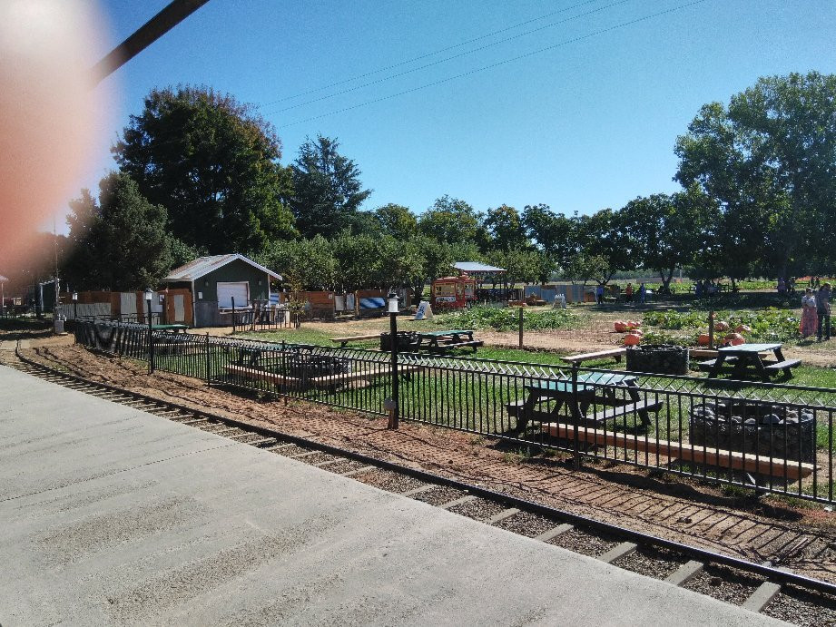 Bishop's Pumpkin Farm-Wheatland必去景点