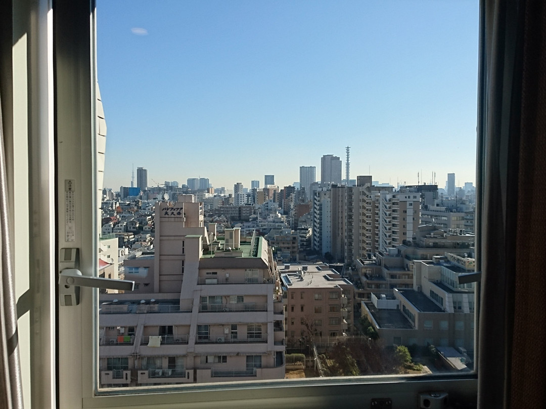 相铁FRESA INN 东新宿站前主图