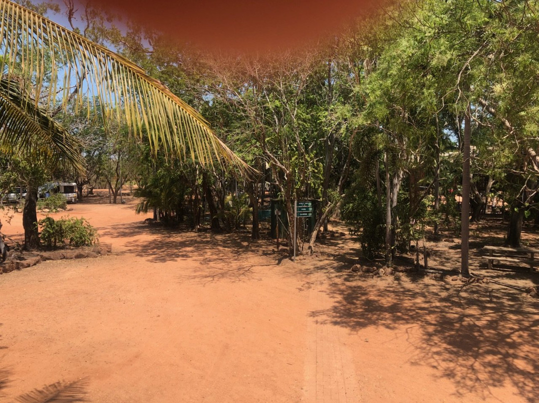 SeaLink Northern Territory-达尔文市必去景点