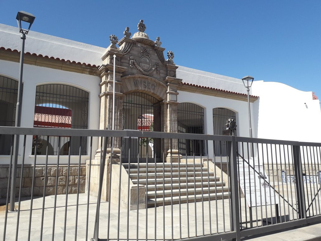 Museo Arqueológico de La Serena景点图片