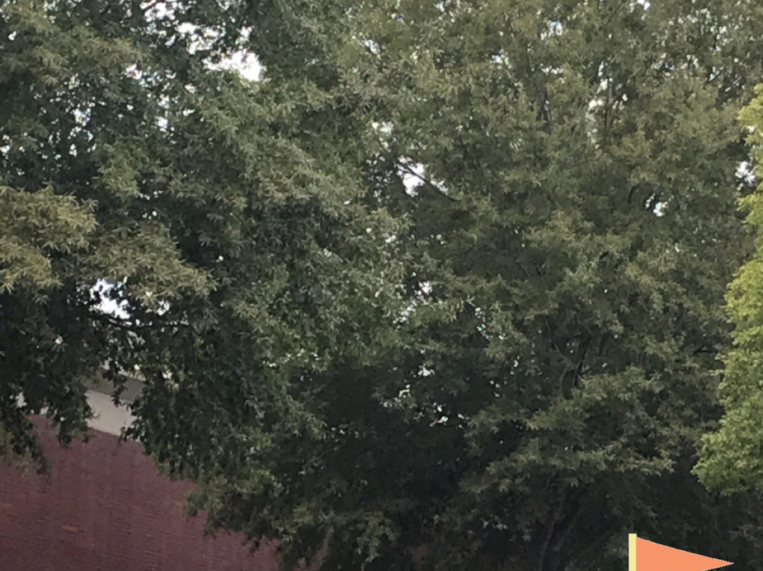 The Avenue Peachtree City-桃树市必去景点