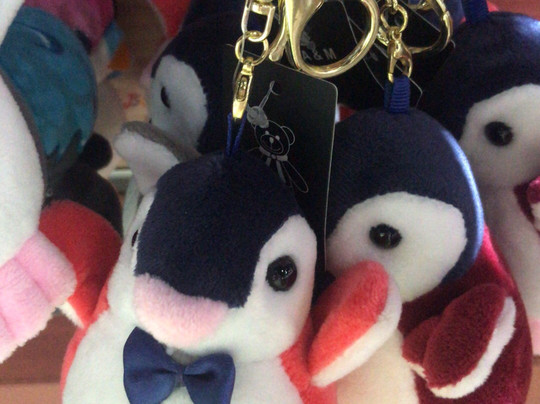 海昌极地海洋世界景区-成都必去景点