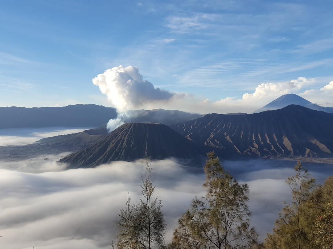 Bromo Sunrise Adventure-玛琅必去景点