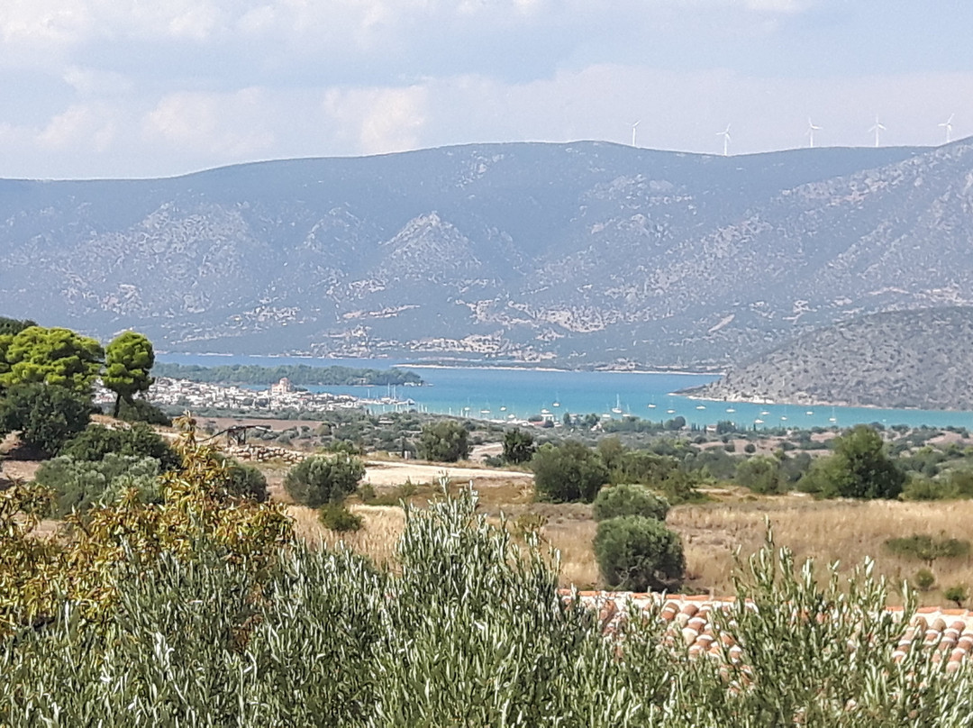 Ermionis - Bairaktaris Apiary景点图片