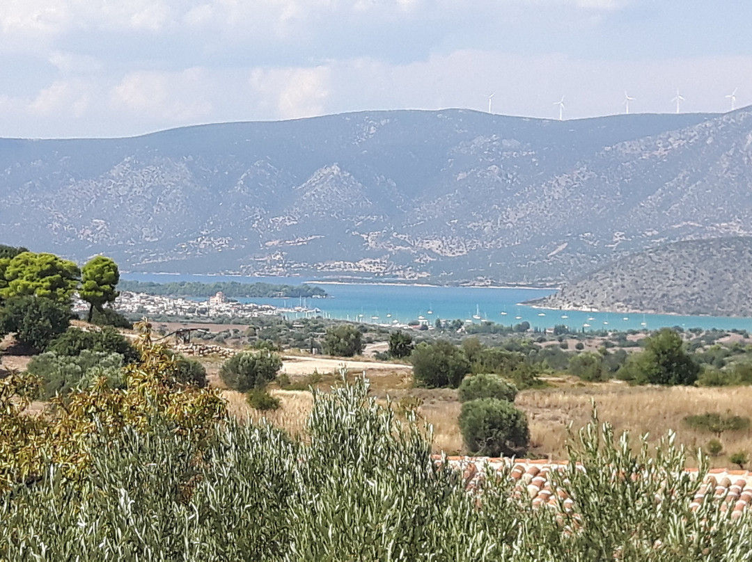 Ermionis - Bairaktaris Apiary-Kranidi必去景点