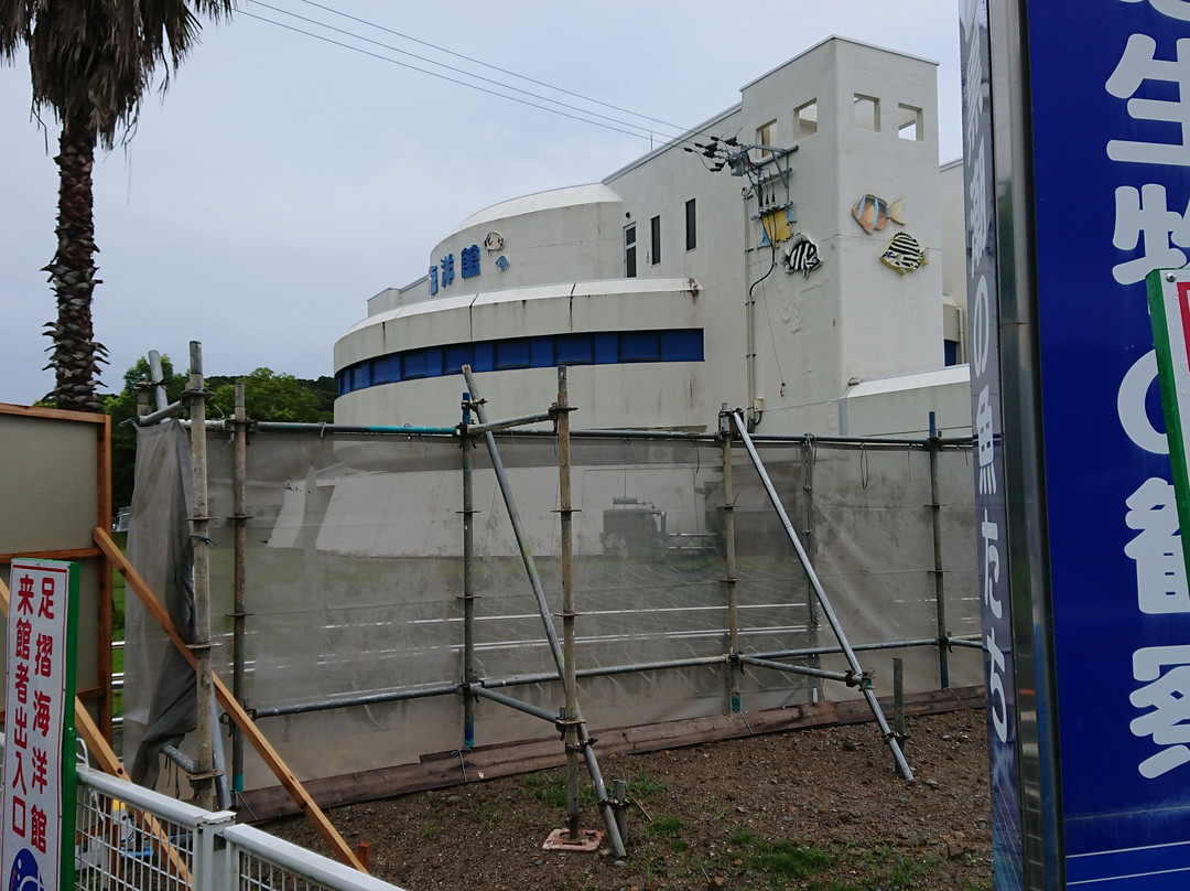 Kochi Prefectural Ashizuri Kaiyokan Aquarium-土佐清水市必去景点