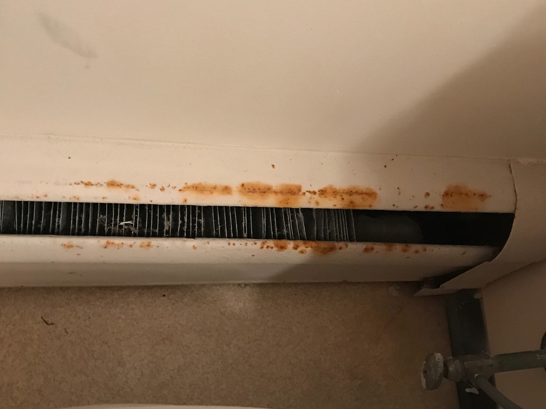 Lakeside Motor Lodge主图