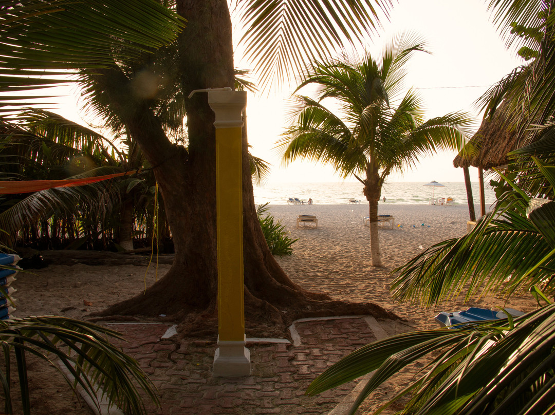 Hotel Maria del Carmen Celestun主图