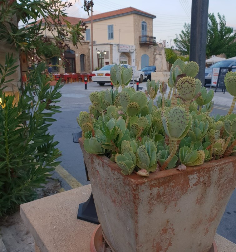 Viva Polis-城邦必去景点