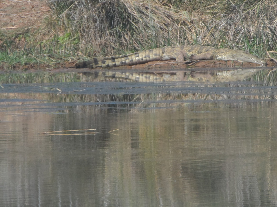 Olifants River Safaris景点图片