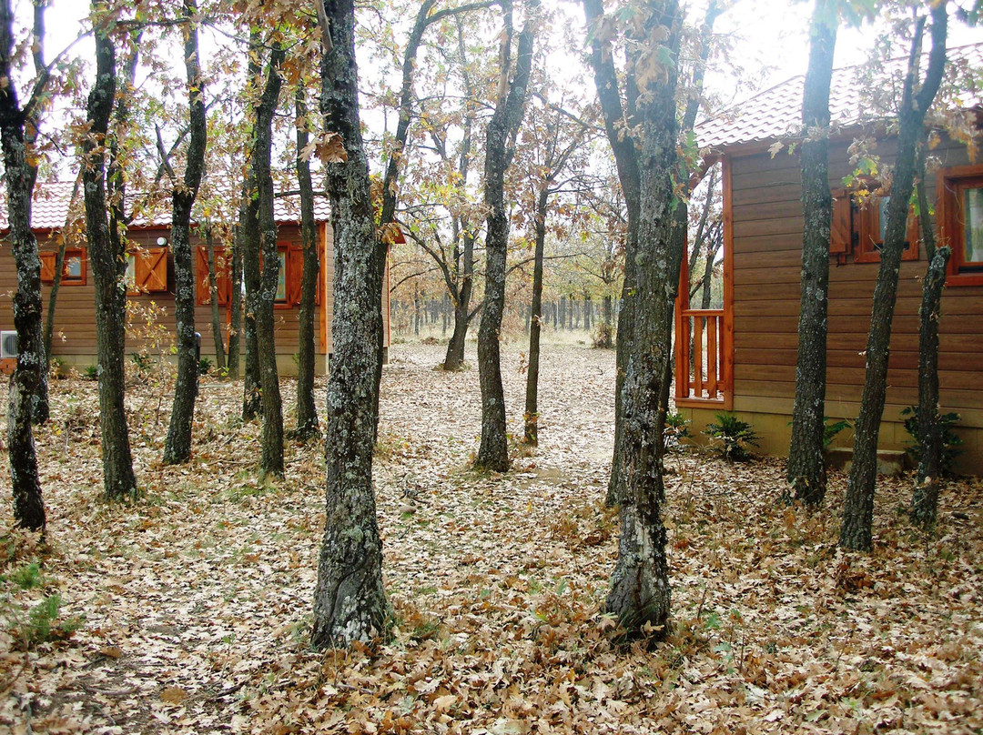 Camping Riaza
