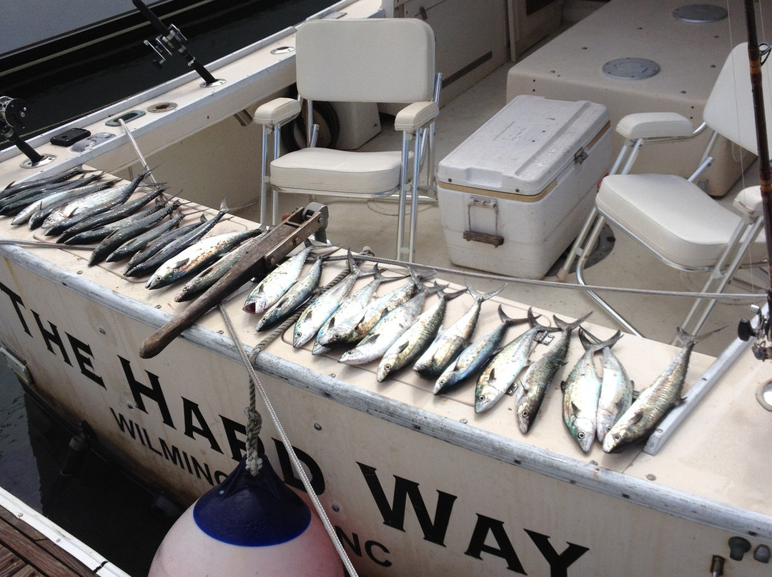Deep Sea Express Fishing Charters-赖茨维尔比奇必去景点