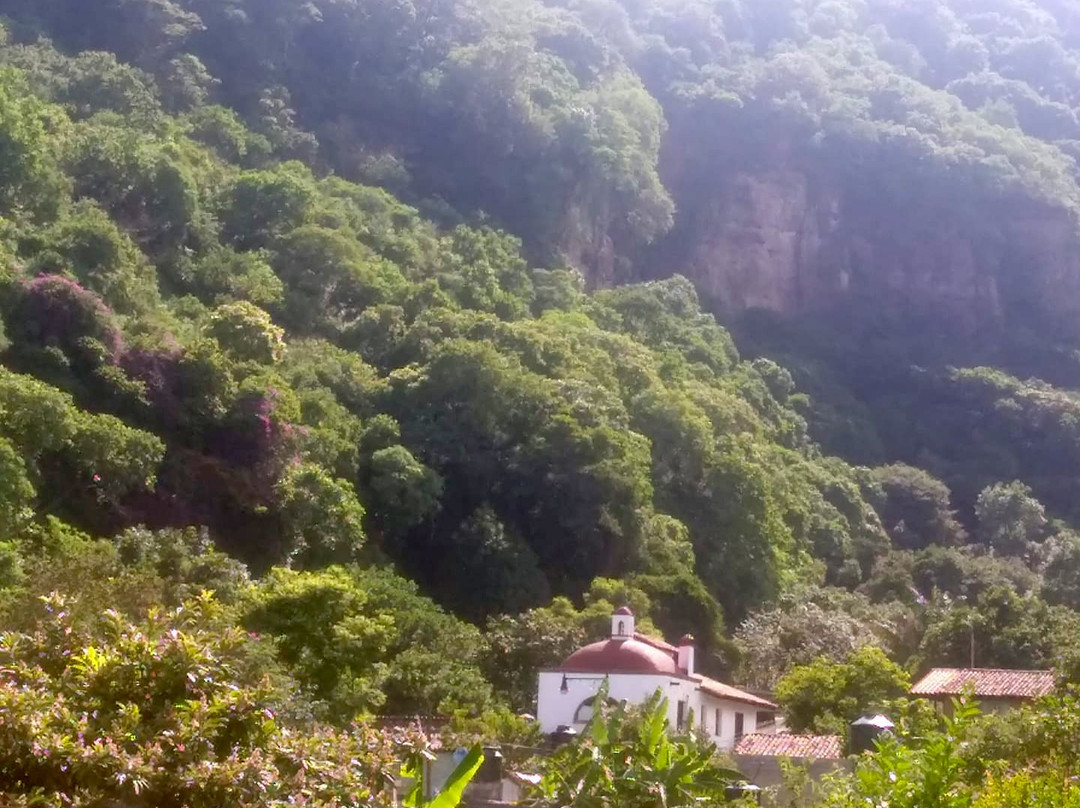 Casa de Huespedes Las Bugambilias
