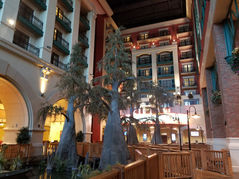 帕拉贡娱乐场度假村主图